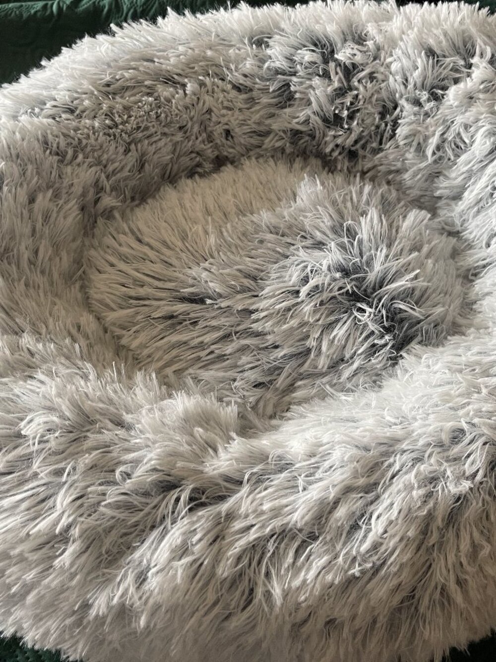 COZY CAT BED